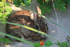IMG_2969w.webp