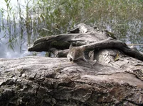 Image00012.webp