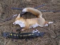 Image00013.webp
