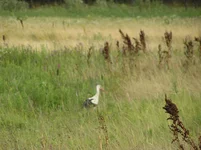 Image00002.webp