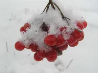 Image00017.webp