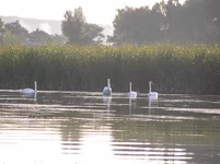 Image00019.webp