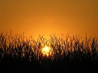 Image00020.webp