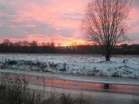 Image00005.webp