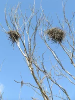 Image00007.webp