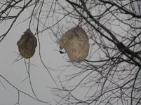Image00014.webp