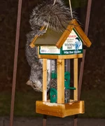 CRW_4069w.webp