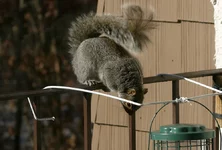 IMG_7843w.webp