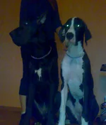 31012010936м.webp