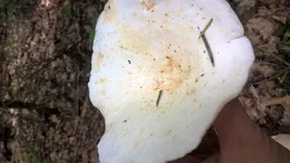 WP_20170727_10_41_10_Pro.jpg
