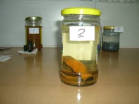 2_1.webp