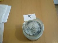 5_1.webp
