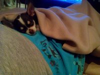 IMG_1262.jpg