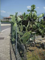 SAM_2076.webp
