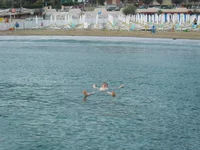 SAM_2191.webp