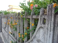 SAM_2115.webp