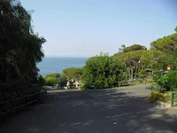 SAM_2142.webp