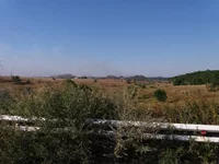 20170812_165305.jpg