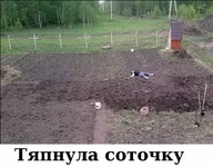  соточку.webp