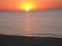 IMG_5129.webp