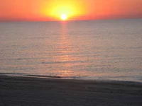 IMG_5131.webp
