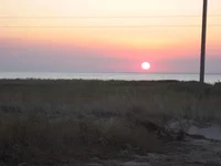 IMG_5048.webp