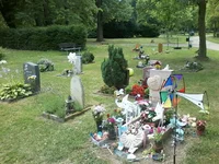 P08-07-17_14.40.webp