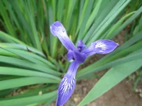 IMG_1670.webp