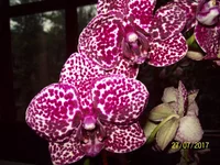 100_4114.webp