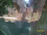 .webp