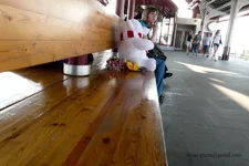 P1020194.webp