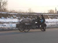 P1010471-1.jpg