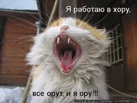 5i.webp