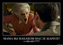 176zv9aanout.webp