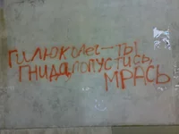 3402.webp