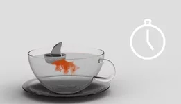Ship.webp