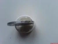 DSC01318.webp