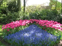 1 203.webp