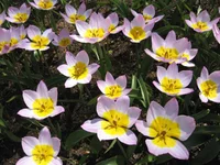 1 258.webp