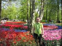 1 260.webp