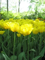 1 263.webp