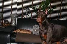 IMG_1346.webp