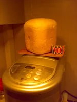 070220101279.JPG
