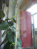 100_2543.jpg