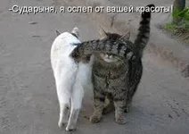 images.webp