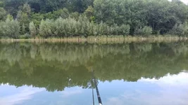 20170827_141259.webp