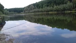 20170827_141312.webp