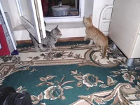 DSC05401.jpg