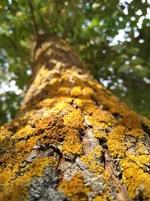 IMG_20170723_175821.webp