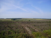 нло 02.09.12.jpg